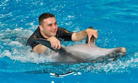Dolphinarium .